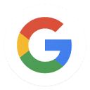 Gemini Developer API
